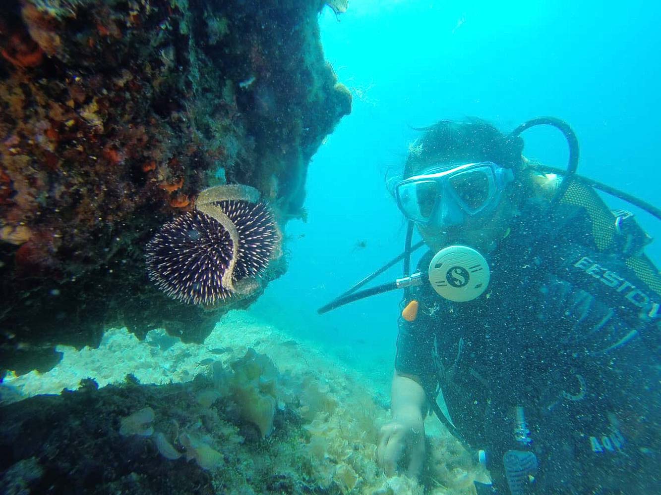 The Underwater World of Montenegro14