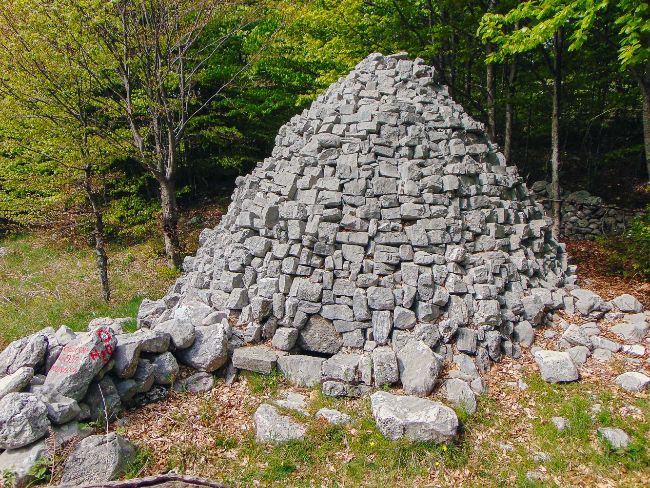 Stara Zdravlja Bistjerna Gaja Murišića copy