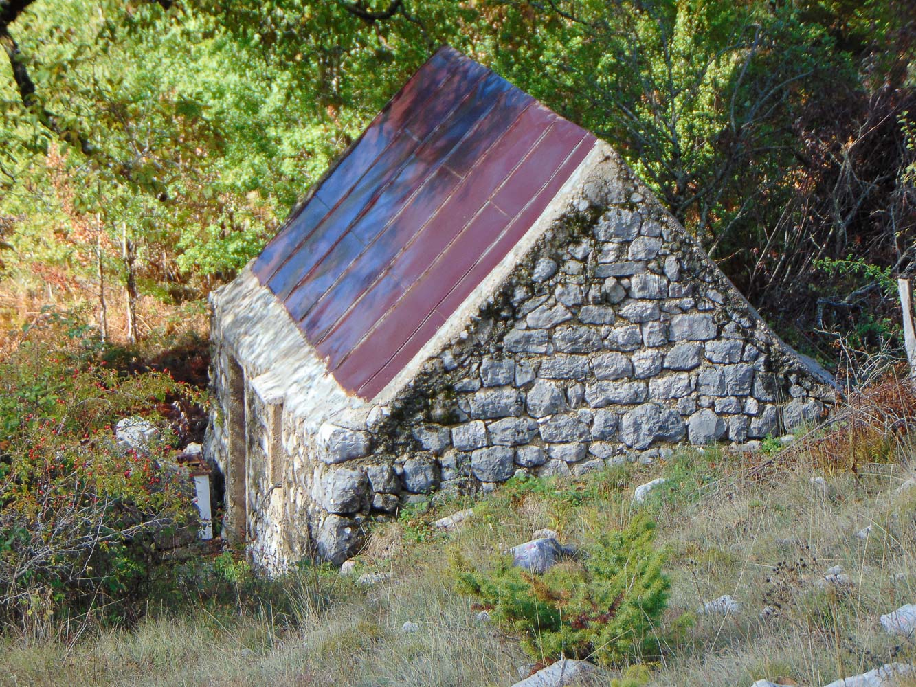 Stara Zdravlja Napušteni katun copy