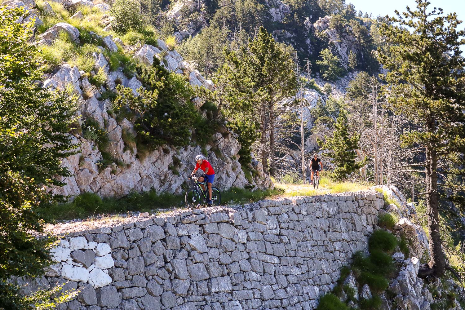 srce 1 na austrougarskoj cesti copy