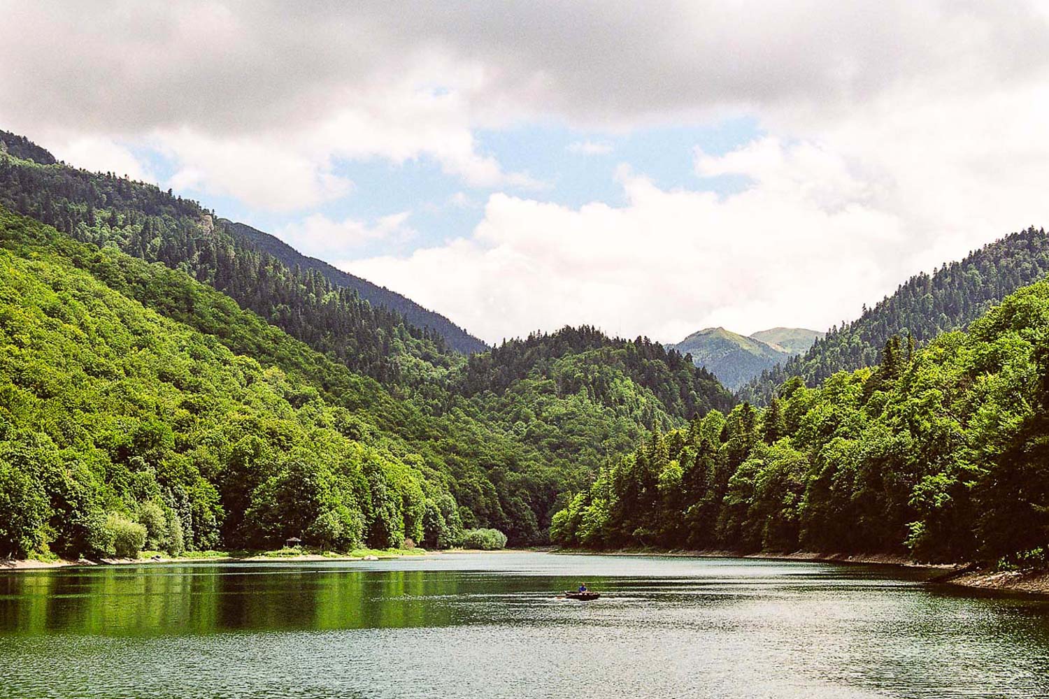 Biogradska gora 004 copy