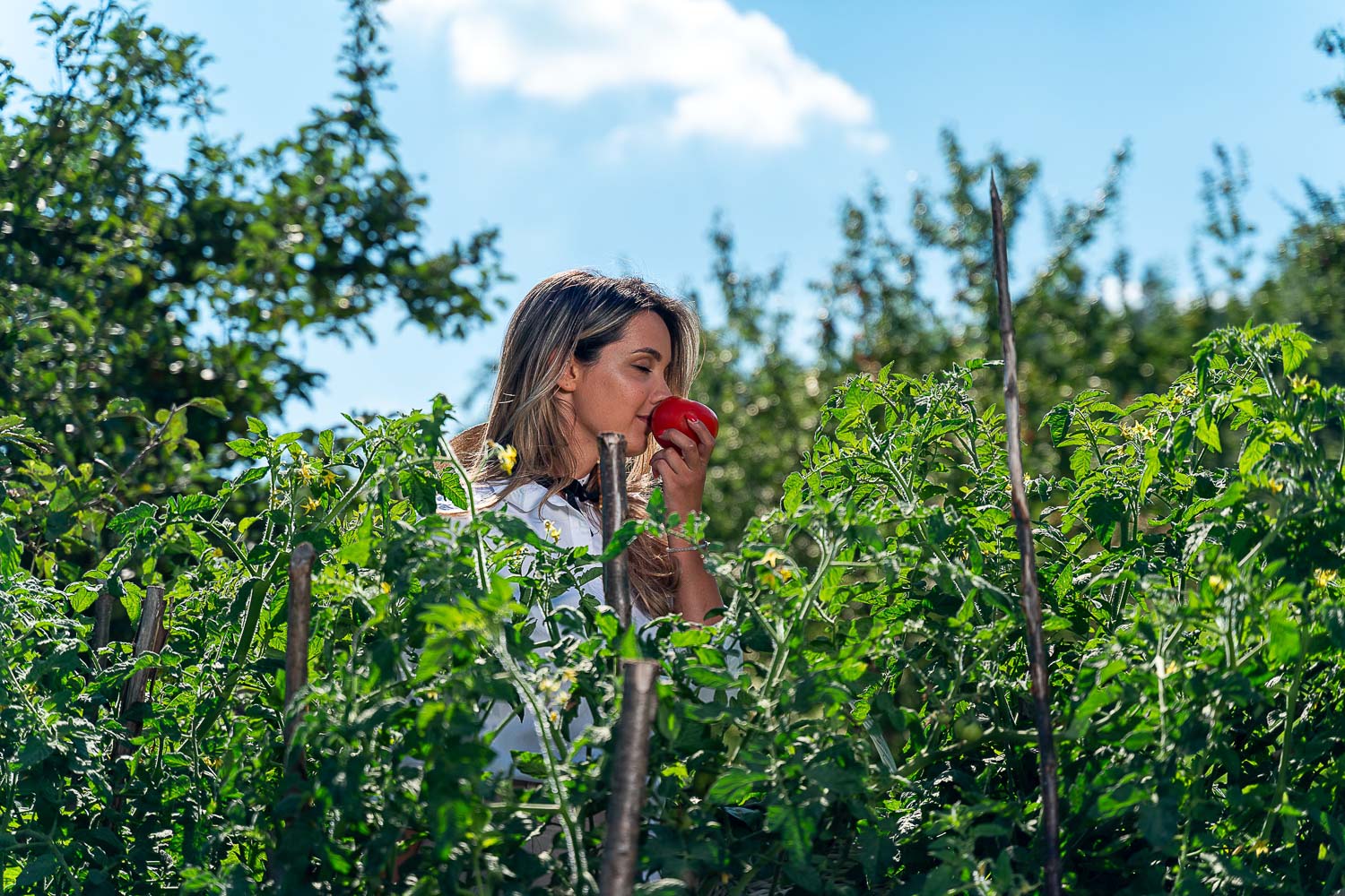 Beautiful Montenegro 3