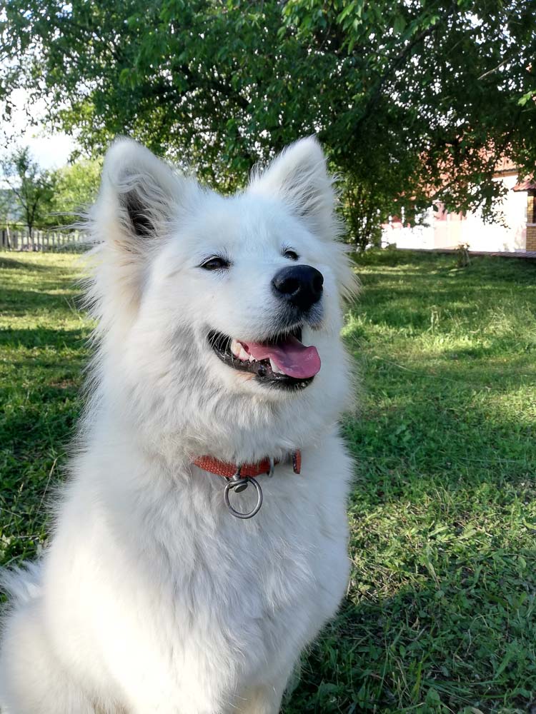 Nina i Bella IMG 20200614 174719 1