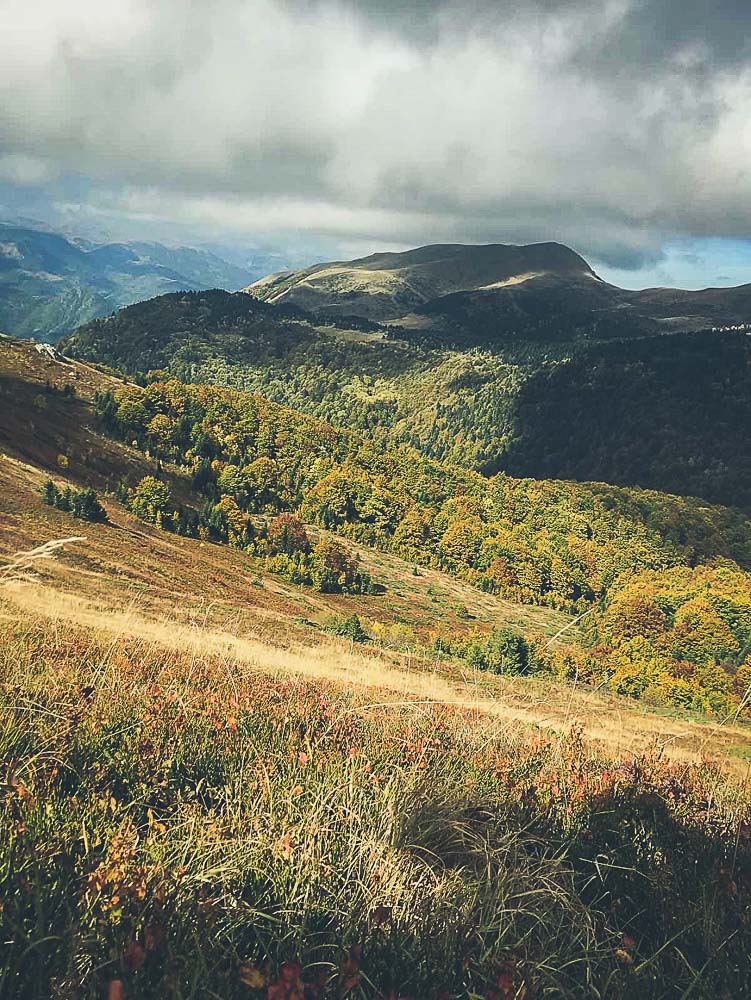 jesen np biogradska gora 1 masa vucinic