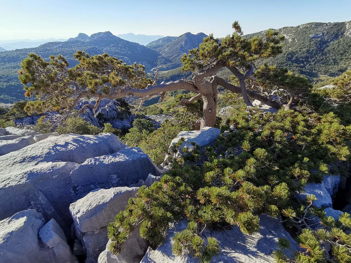 Munika u kršu kod Vilinog guvna