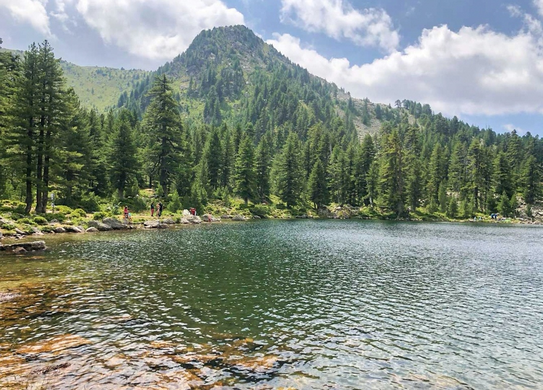 Screenshot 20230703 105110 com.android.gallery3d edit 259000478309437