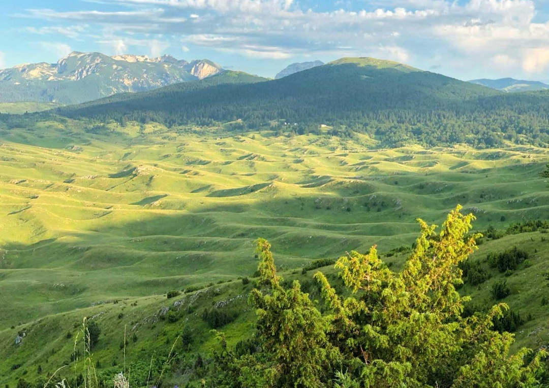 Screenshot 20230703 105117 com.android.gallery3d edit 259008339816727