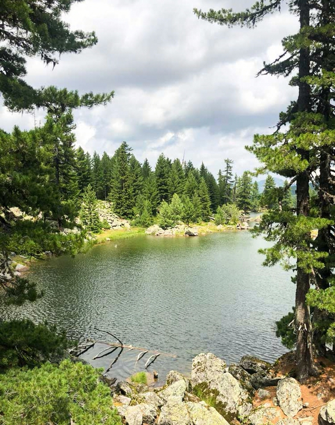 Screenshot 20230703 105229 com.android.gallery3d edit 259032985759432