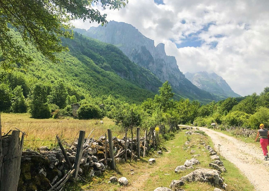 Screenshot 20230703 105246 com.android.gallery3d edit 259045344804222