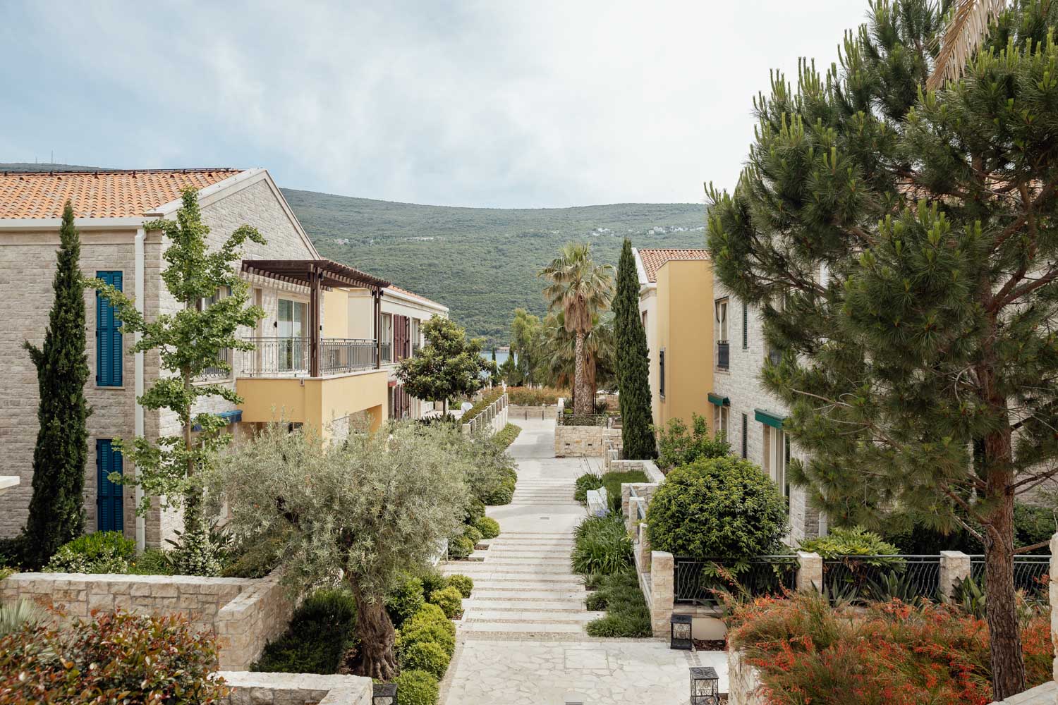 2023 06 07 Portonovi MilosS HiRes 54