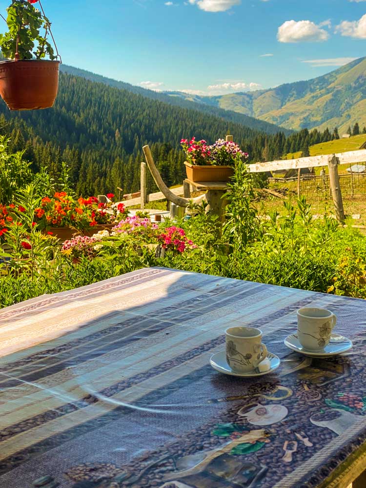 kafa kod rabe image00051