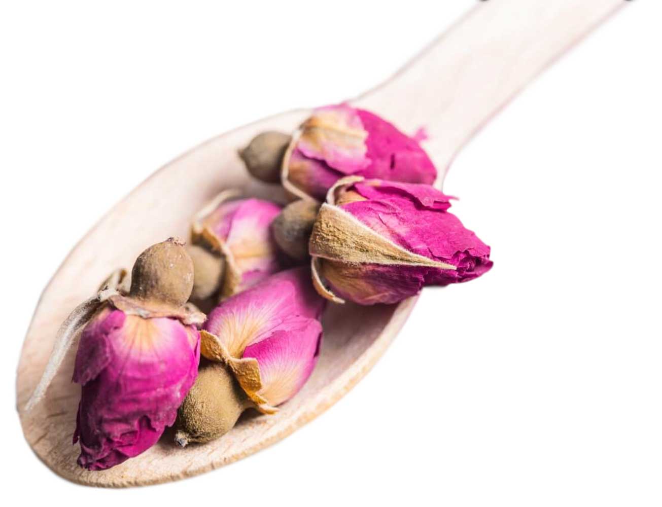 10 Best Types of Edible Roses and How to Use Them