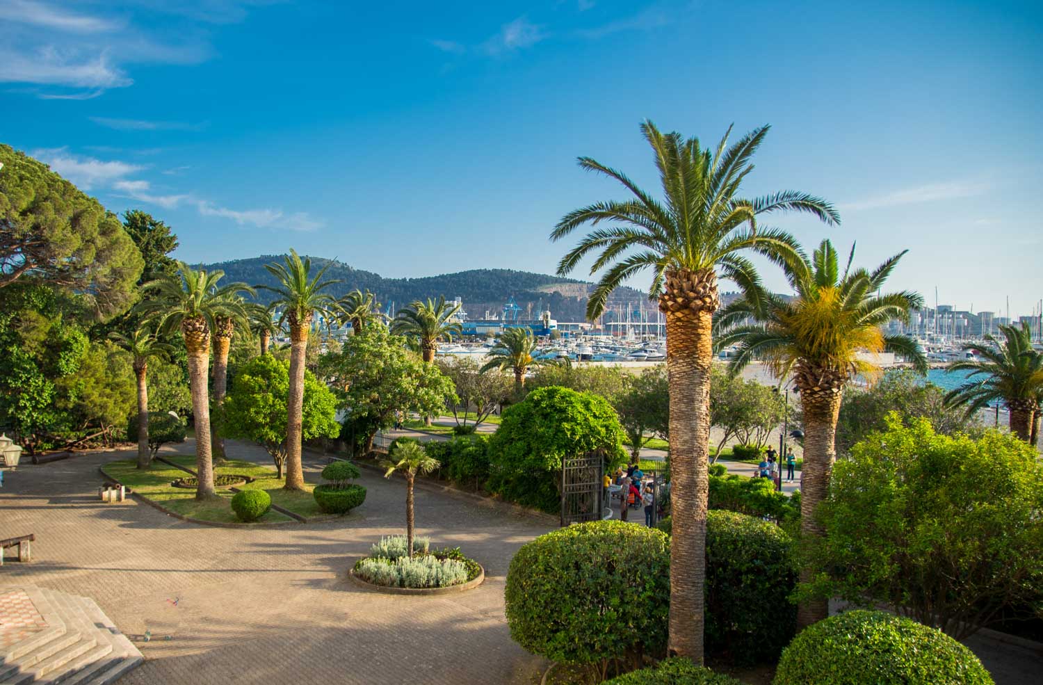 danilo dado pavlovic