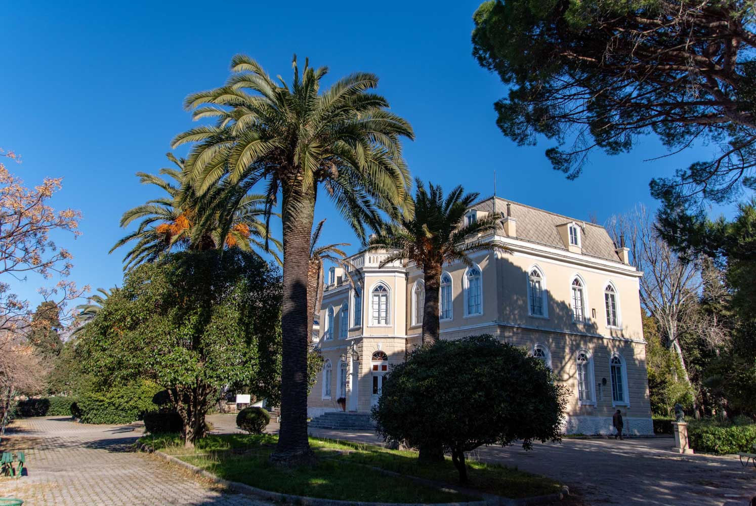 danilo dado pavlovic 1