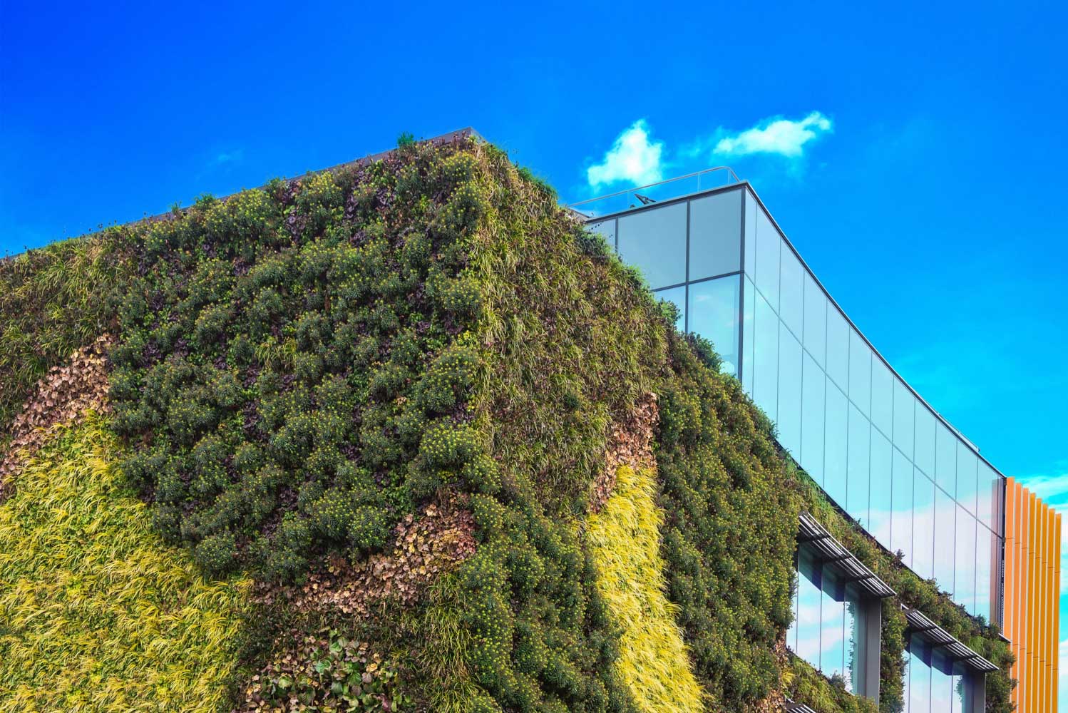 sustainable hotel siemlus