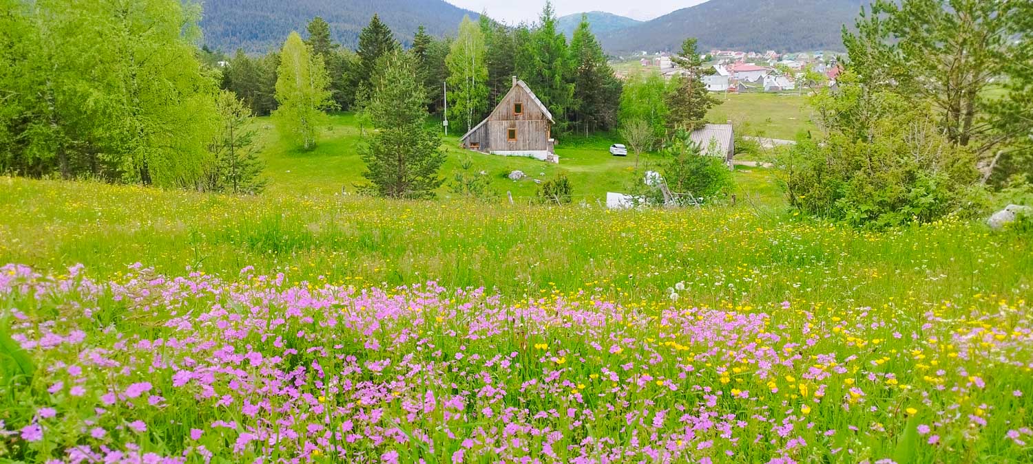 kuća IMG 20230606 102945